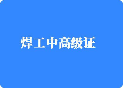 刺激下操逼免费公司黄焊工中高级证